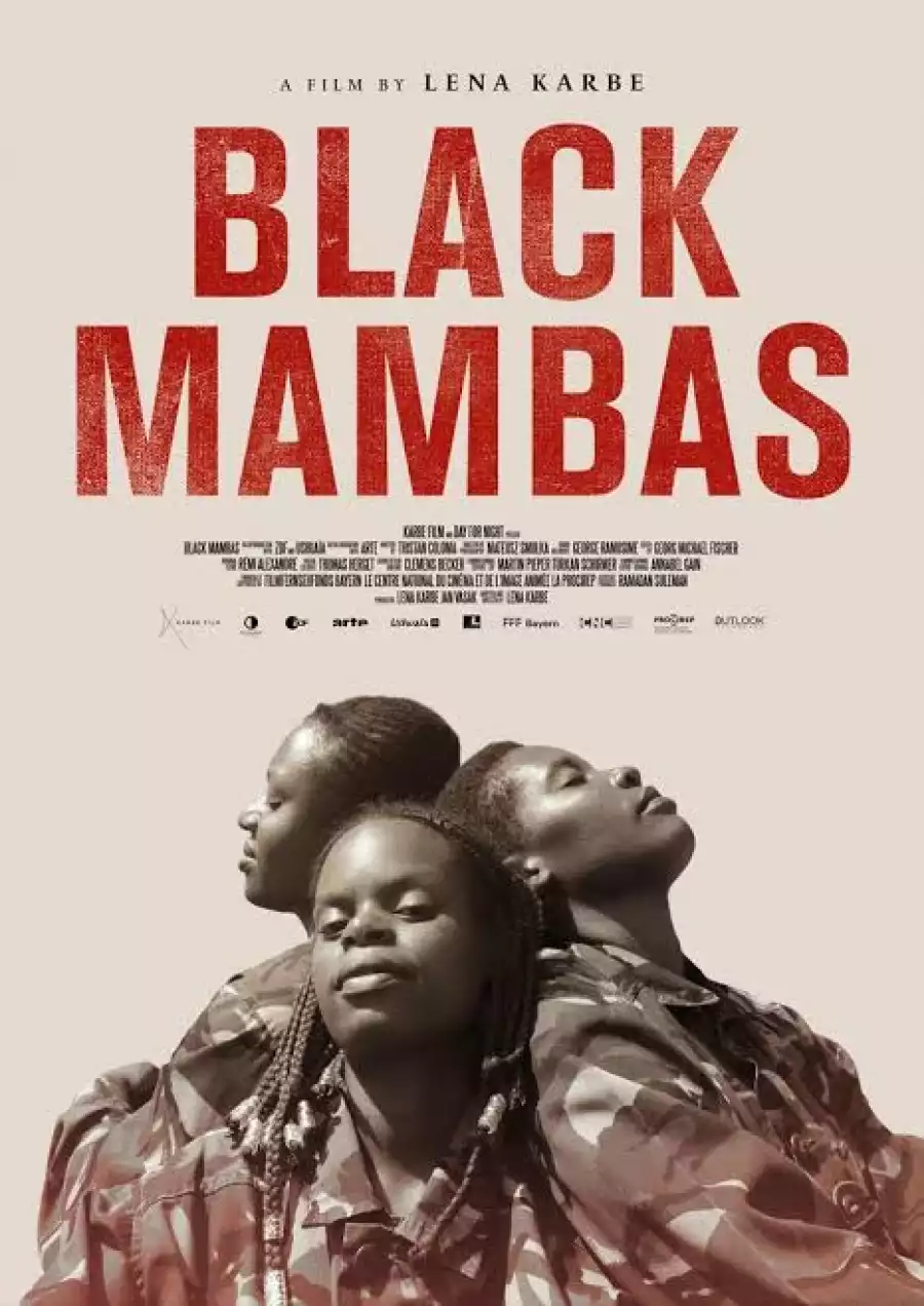 You are currently viewing Black Mambas (2022)