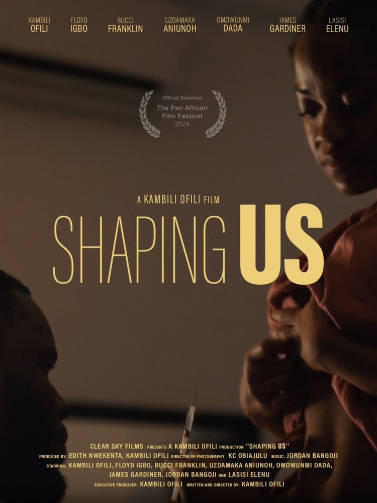 Read more about the article Shaping Us (2024) – Nollywood Movie